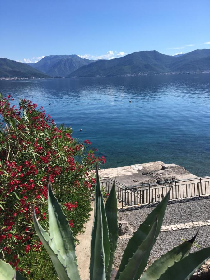 Apartment Tri Kiparisa Tivat Dış mekan fotoğraf